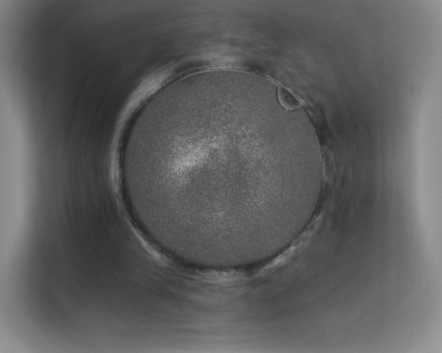 X0000113570245200909251140