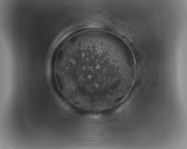 X0000113570247200909251140