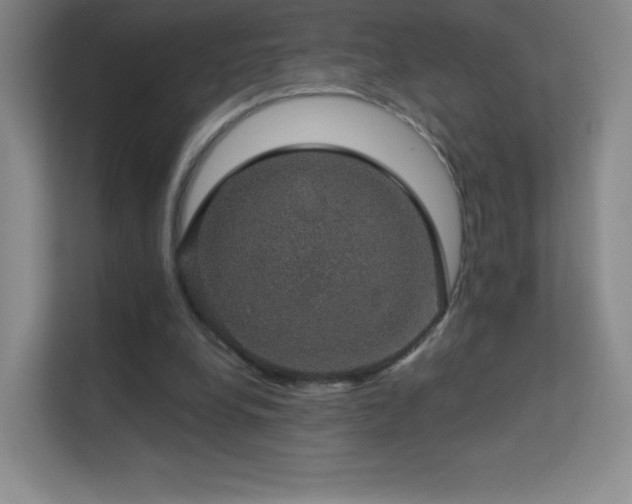 X0000113570248200909251140