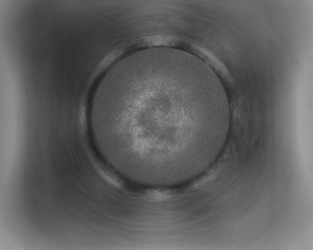 X0000113570250200909251140