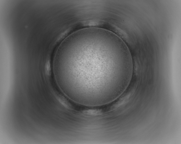 X0000113570251200909251140