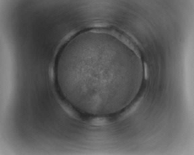 X0000113570252200909251140