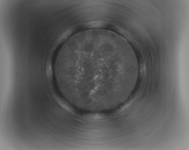 X0000113570254200909251140