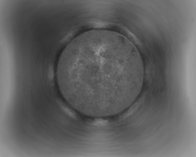 X0000113570257200909251140
