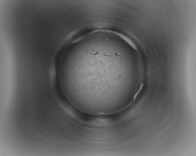 X0000113570260200909251140