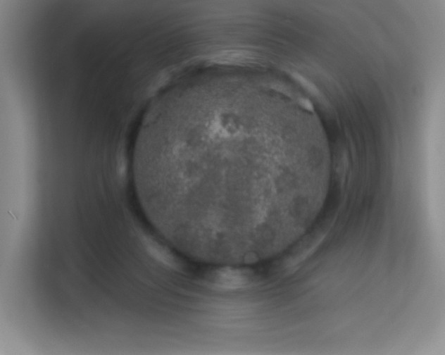 X0000113570261200909251140