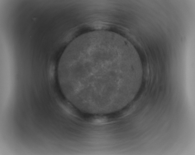 X0000113570263200909251140