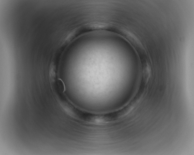 X0000113570264200909251140