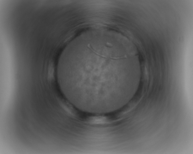 X0000113570266200909251140
