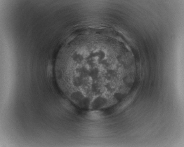 X0000113570269200909251140