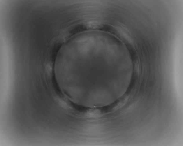 X0000113570271200909251141