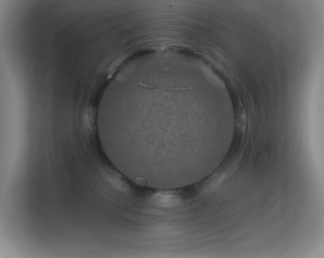 X0000113570280200909251141