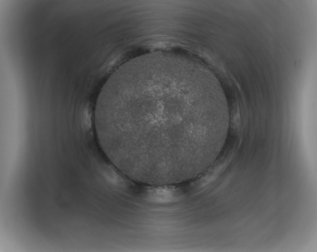 X0000113570282200909251141