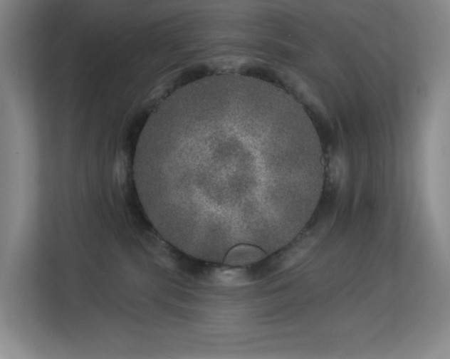 X0000113570283200909251141