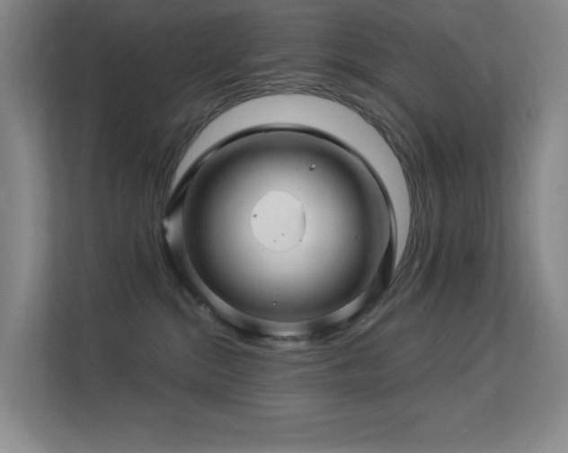 X0000113570284200909251141