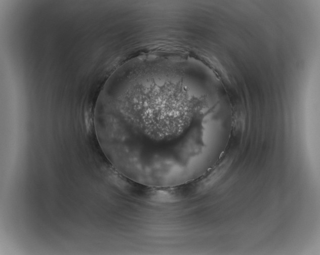 X0000113570285200909251141