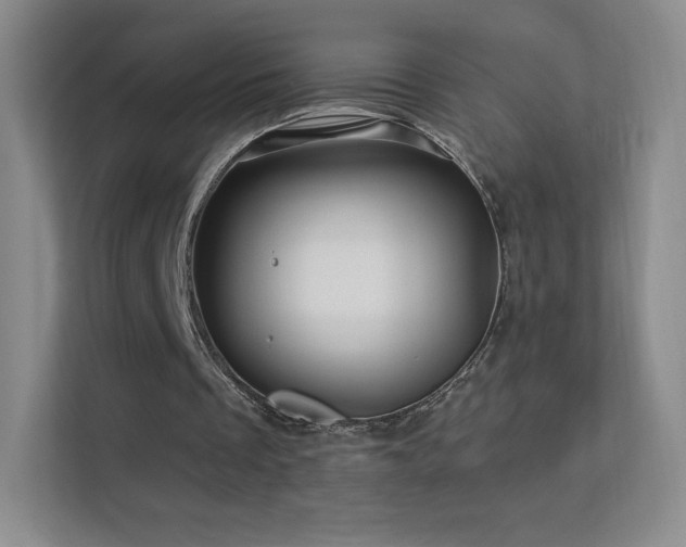 X0000113570289200909251140