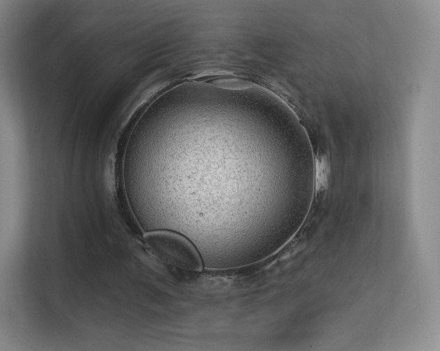 X0000113570291200909251140