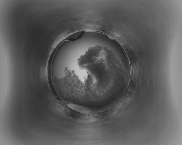 X0000113570292200909251140