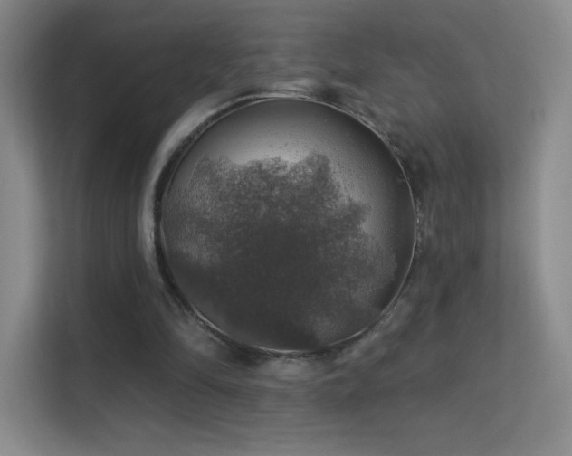 X0000113570294200909251140