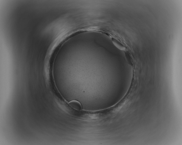 X0000113570295200909251140
