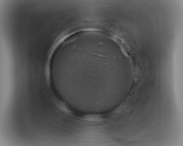 X0000113570296200909251140