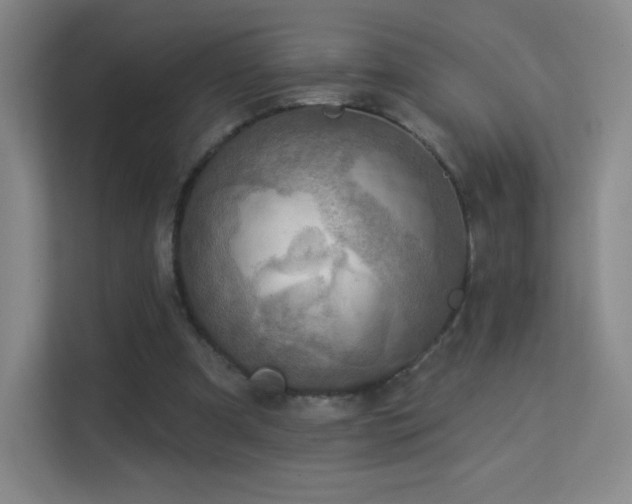 X0000113570297200909251140
