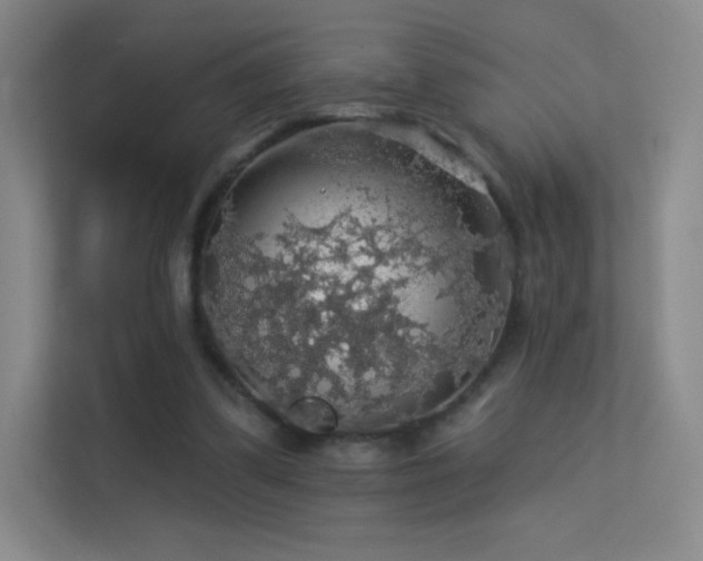 X0000113570299200909251140
