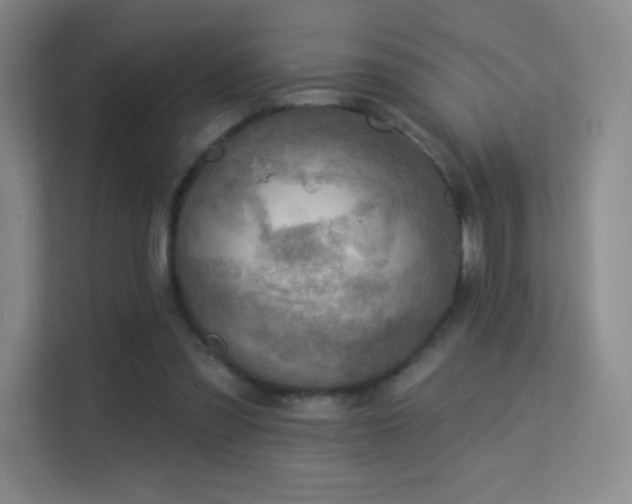 X0000113570301200909251140