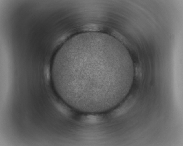 X0000113570302200909251140
