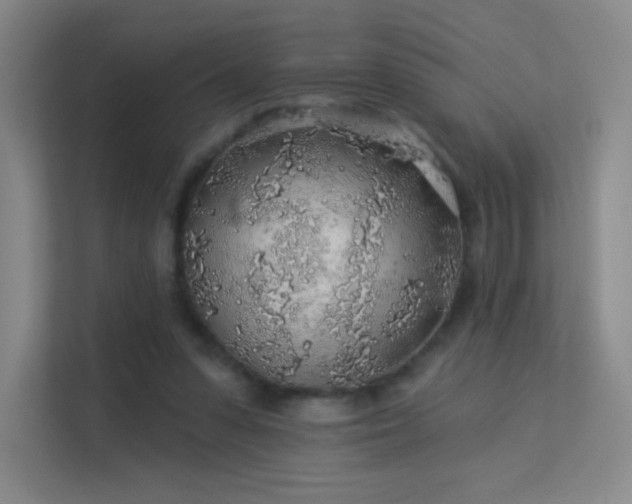 X0000113570303200909251140