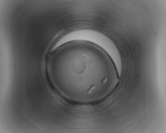 X0000113570304200909251140