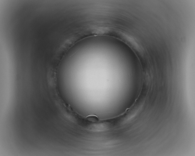 X0000113570307200909251140