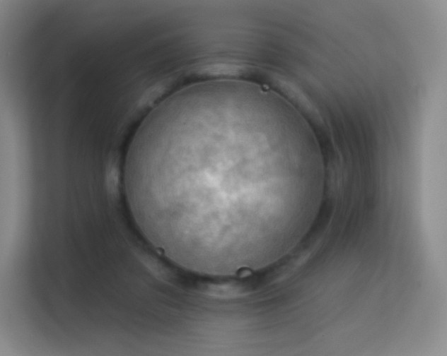 X0000113570309200909251140
