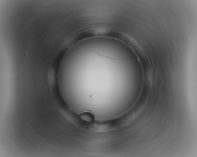X0000113570311200909251140