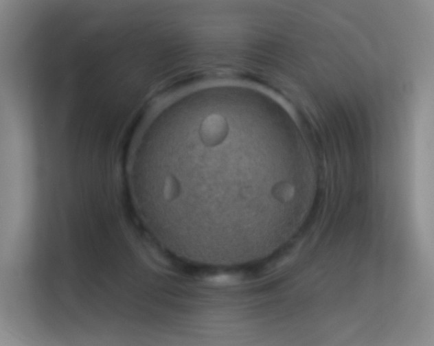X0000113570312200909251140