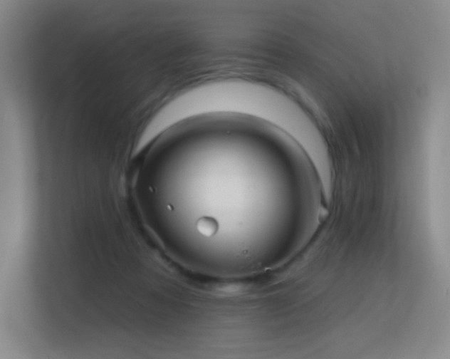 X0000113570313200909251140