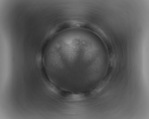X0000113570314200909251140