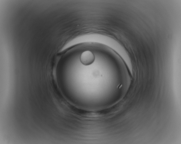 X0000113570316200909251140