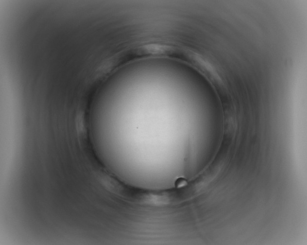 X0000113570317200909251140