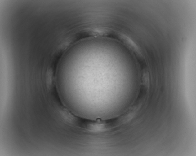 X0000113570318200909251140