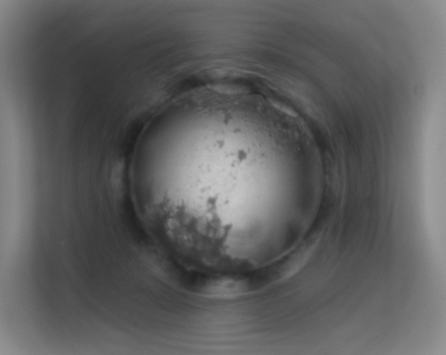 X0000113570319200909251140