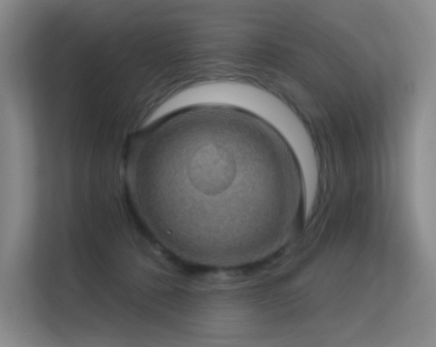 X0000113570320200909251140