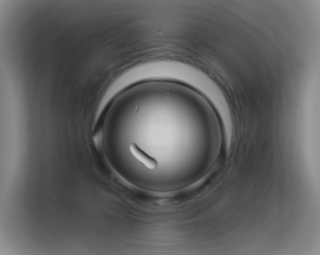 X0000113570324200909251140