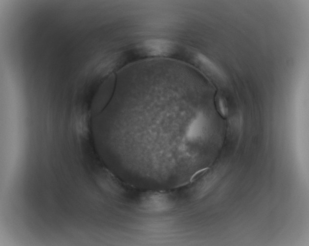 X0000113570325200909251140