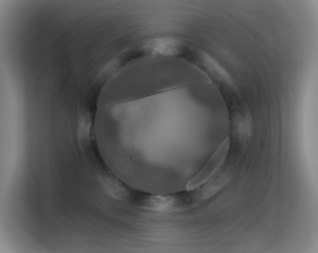 X0000113570328200909251140