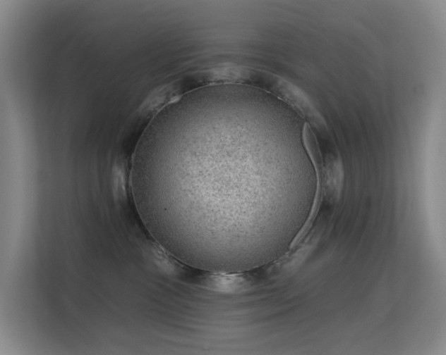 X0000113570333200909251140