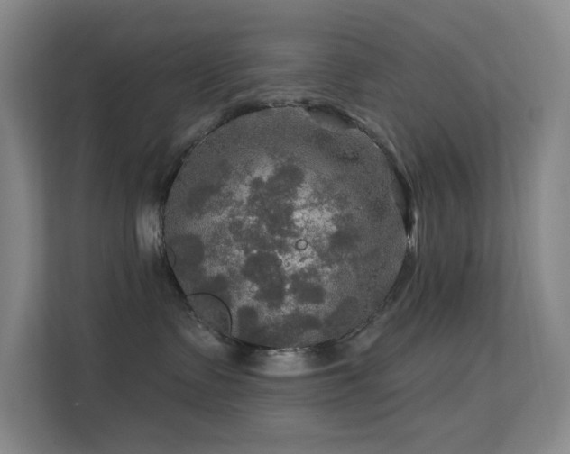X0000113570335200909251140