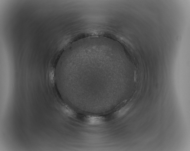 X0000113570336200909251140