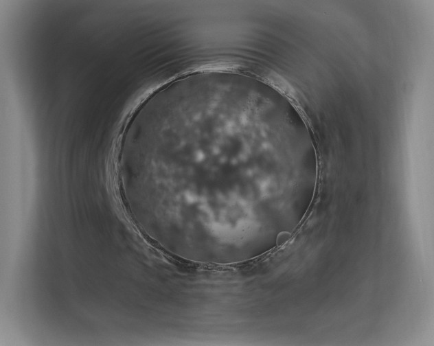 X0000113570337200909251139